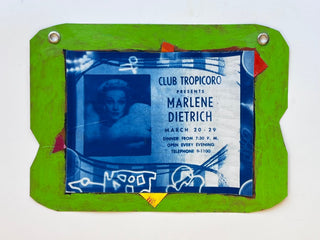 Wayne Koestenbaum: You Oughta Be in Pictures