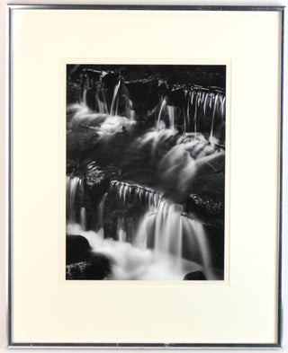 Adams, Ansel. (1902–1984) Fern Spring, Dusk, Yosemite Valley, ca. 1961