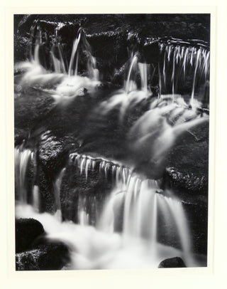 Adams, Ansel. (1902–1984) Fern Spring, Dusk, Yosemite Valley, ca. 1961