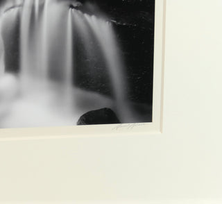 Adams, Ansel. (1902–1984) Fern Spring, Dusk, Yosemite Valley, ca. 1961