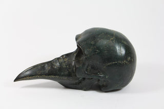 [Anonymous] France, ca. 1920. Bird Skull