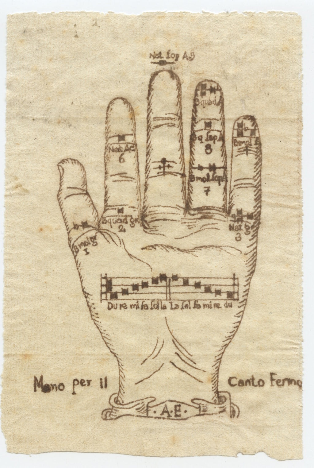 [Guidonian Hand] Mano per il Canto Fermo - Original Drawing, ca. 1700 ...