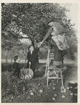 Heifetz, Jascha. (1901–1987) Original 1938 Photograph picking Apples!