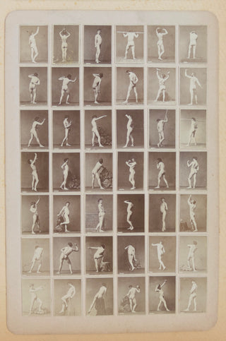 [Nude Models] [Anonymous] Male and Female Nude Studies - Four Cabinet Card Collections ca. 1880s