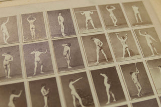 [Nude Models] [Anonymous] Male and Female Nude Studies - Four Cabinet Card Collections ca. 1880s