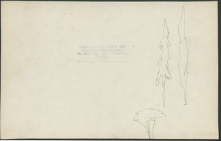 [Montemezzi, Italo. (1875 - 1952)] Marussig, Guido. (1885–1972) [D'Annunzio, Gabriele. (1863–1938)] Photograph Prints of Scenic Designs for "La Nave"