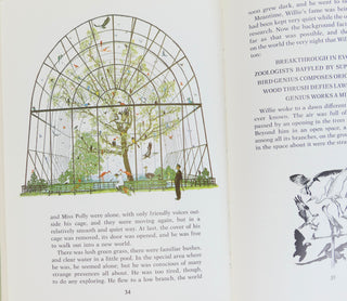 Rockwell, Norman. (1894 - 1978) Rockwell, Molly. (1961-1978) "Willie Was Different: The Tale of an Ugly Thrushling" - Signed