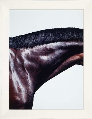 Klein, Steven. (b. 1965) Prancer