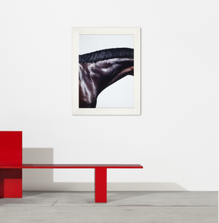 Klein, Steven. (b. 1965) Prancer