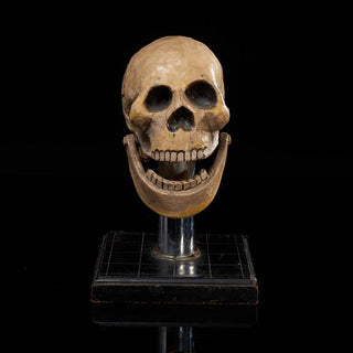 [Seance] Talking Skull, ca. 1920s
