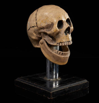 [Seance] Talking Skull, ca. 1920s