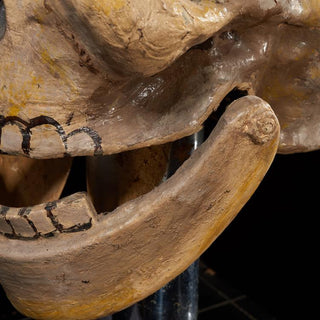 [Seance] Talking Skull, ca. 1920s