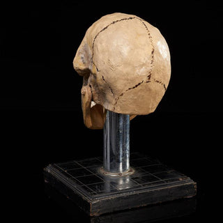 [Seance] Talking Skull, ca. 1920s