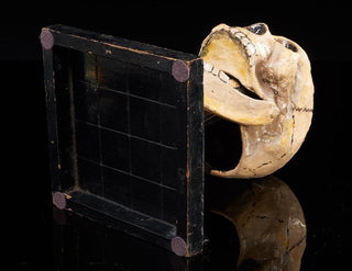[Seance] Talking Skull, ca. 1920s
