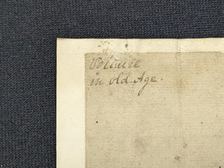 [Voltaire. (1694-1778)] "Voltaire in Old Age"  - Original Drawing