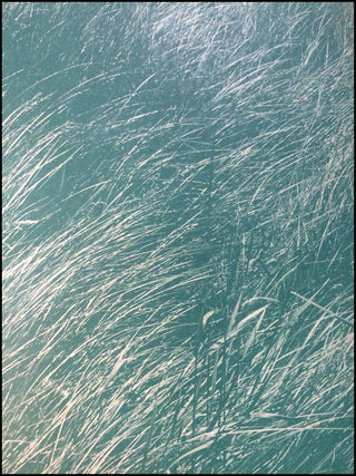 [Literature & Art] Whitman, Walt. (1819 - 1892) [Weston, Edward. (1886 - 1958)] Leaves of Grass